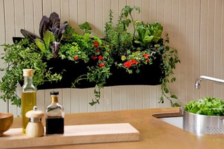 wellness kitchen includes indoor garden