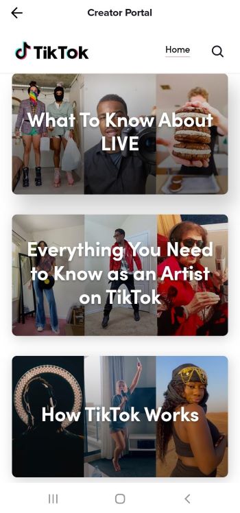 TikTok for Business Creator Portal 4
