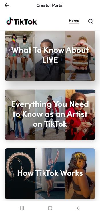 TikTok for Business Creator Portal 4