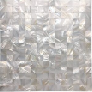 Mother of Pearl Shell Tile Backsplash