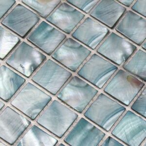 Shell Tile Mosaic Mother of Pearl Tile Backsplash