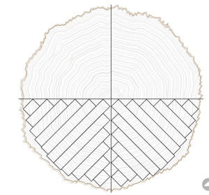 Quarter Sawn White Oak illustration