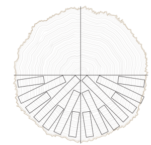 Rift cut White Oak milling pattern