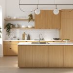 minimalist kitchen design